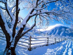 Winter Depression 300x225 درمان افسردگی زمستانی